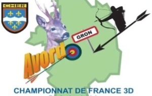 Championnat de France par équipe de clubs de tir 3D
