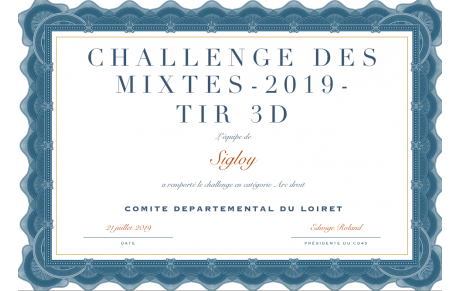 Challenge mixtes 3D